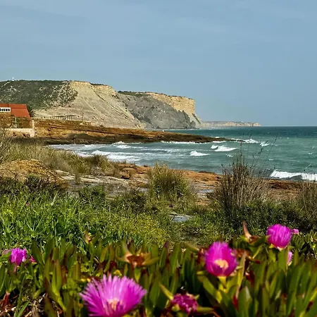 Luz Vila